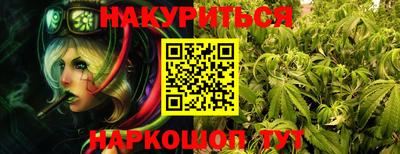 шишки Заволжье