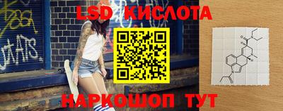 шишки Заволжье