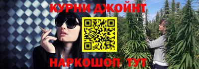 шишки Заволжье
