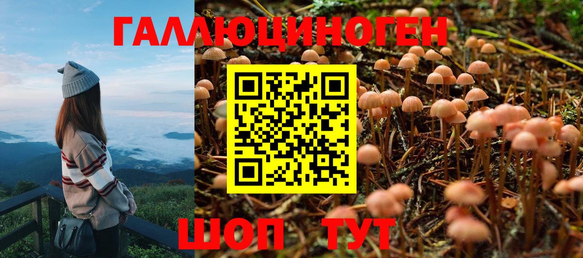 Галлюциногенные грибы MAGIC MUSHROOMS Луга